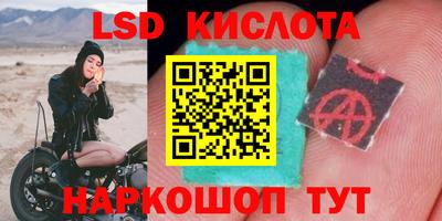 дживик Ливны