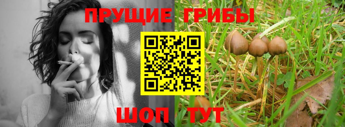 Псилоцибиновые грибы мухоморы Отрадное